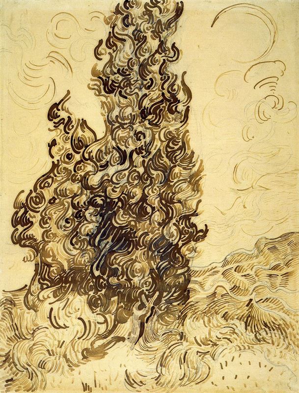 Picture for Cypresses, 1889