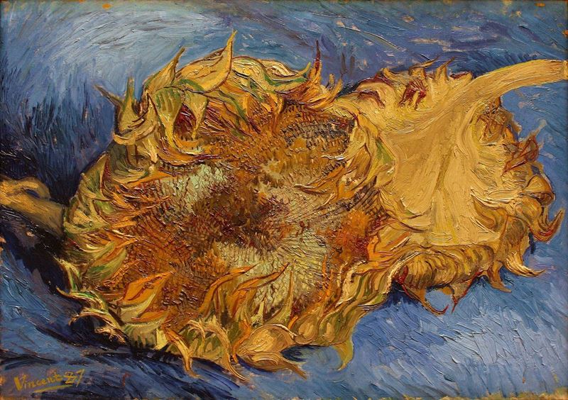 Picture for Sunflowers, 1887