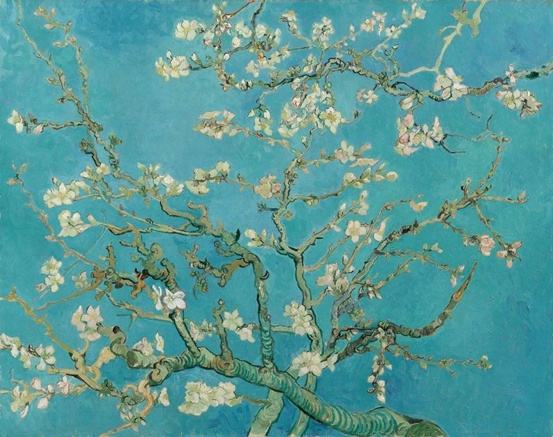 Picture for Almond Blossom, 1890