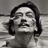 Picture for Salvador Dali