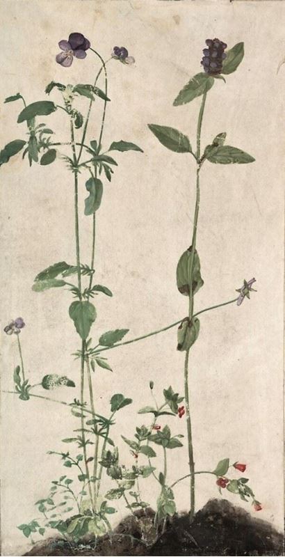 Picture for Three Medicinal Herbs, 1526
