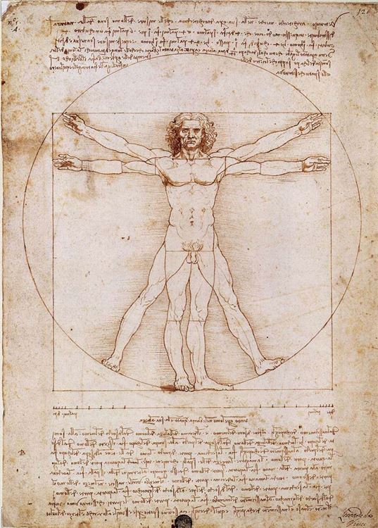 Vitruvius Adamı, 1490 dolayları picture
