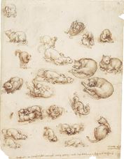 Show Cats, Lions and a Dragon, c. 1513-1518 details