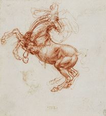 Show A Rearing Horse, c. 1503-1504 details