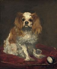 King Charles Spaniel, 1866 dolayları