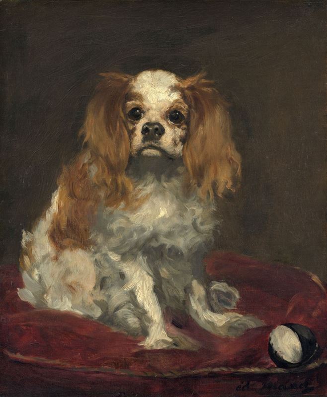 Picture for King Charles Spaniel, 1866 dolayları