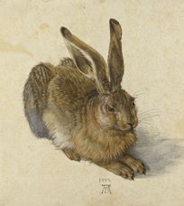 Show Young Hare, 1502 details