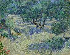 Show Olive Trees, 1889 details