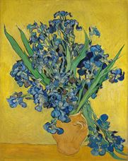 Show Irises, 1890 details