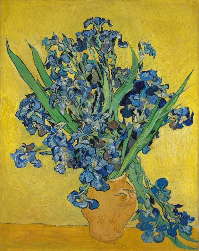 Picture for Irises, 1890