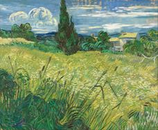 Show Green Wheat Field with Cypress, 1889 details