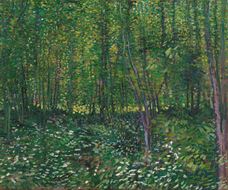 Show Trees and Undergrowth, 1887 details