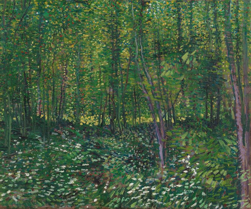 Picture for Trees and Undergrowth, 1887