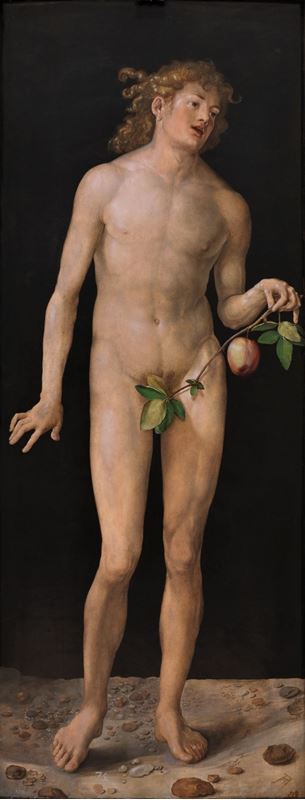 Picture for Adam, 1507