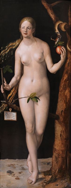 Havva, 1507 resmi