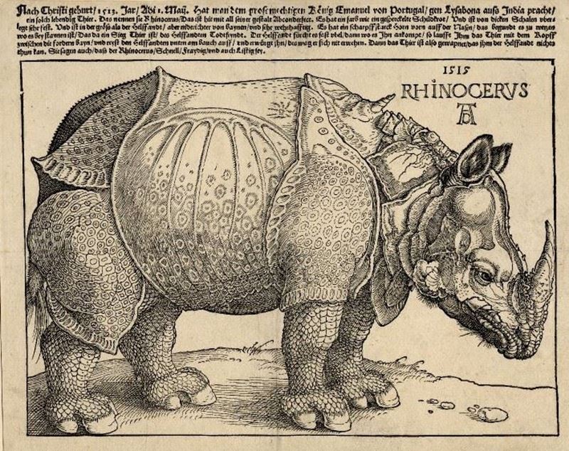 Picture for Rhinoceros, 1515