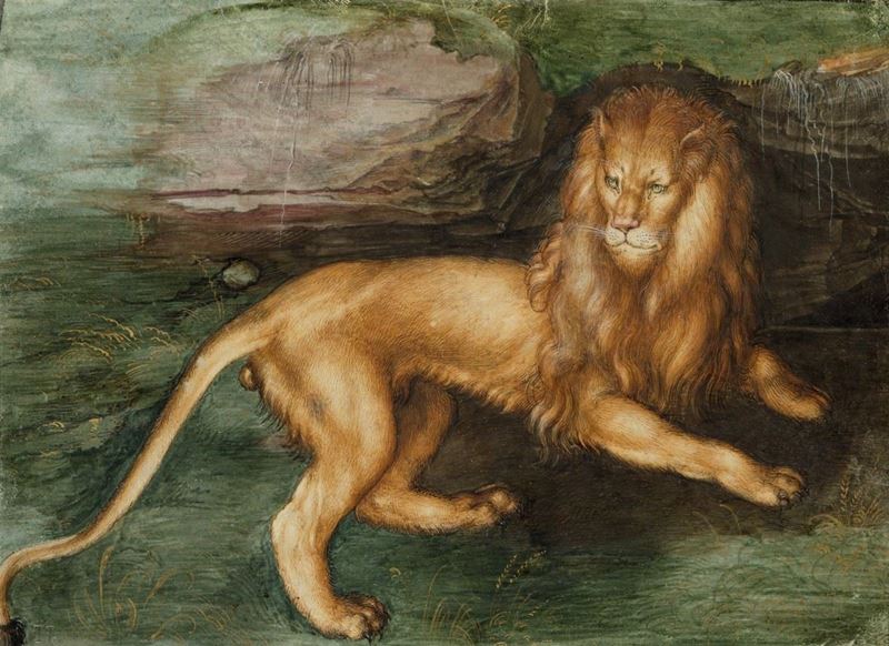 Aslan, 1494 resmi