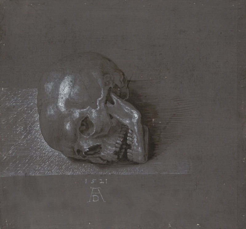 Kafatası, Aziz Hieronymus İçin Çalışma resmi
