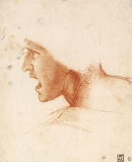 Show Study for the Head of a Soldier in the Battle of Anghiari, c. 1504-1505 details