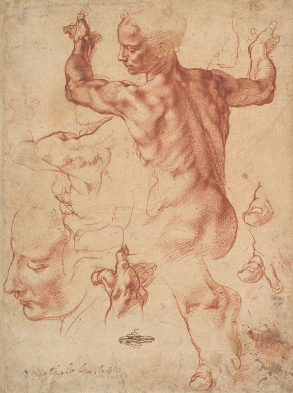 Picture for Studies for the Libyan Sibyl, c. 1510-1511
