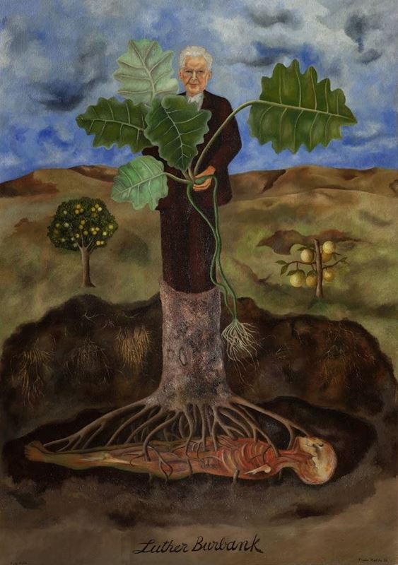Picture for Portrait of Luther Burbank, 1931