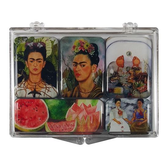 Frida 5'li Magnet Set