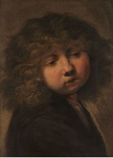 Show Head of a Boy, 1643 details