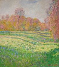 Show Meadow at Giverny, 1886 details