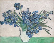 Show Irises, 1890 details