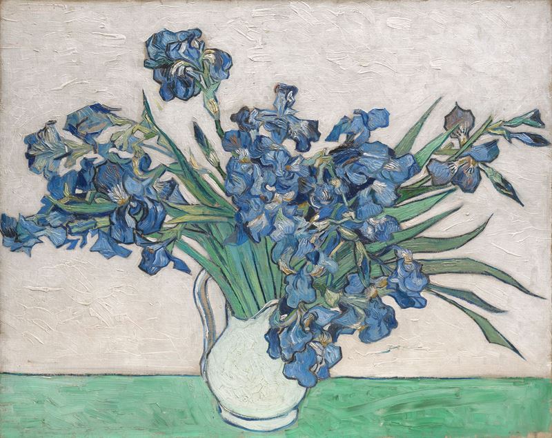 Picture for Irises, 1890