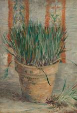 Show Flowerpot with Garlic Chives, 1887 details