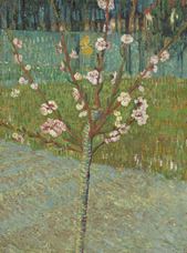 Show Peach Tree in Blossom, 1888 details