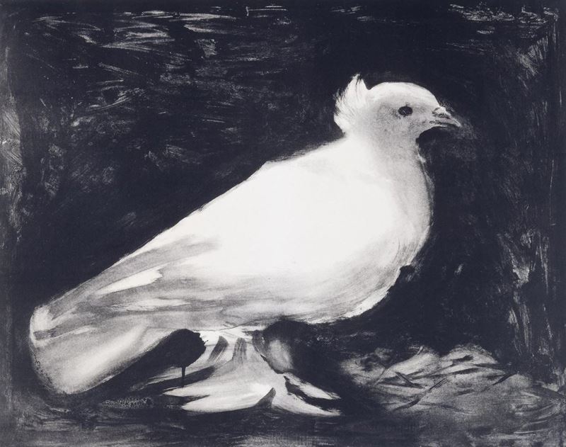 Güvercin, 1949 resmi