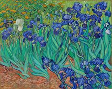 Show Irises, 1889 details