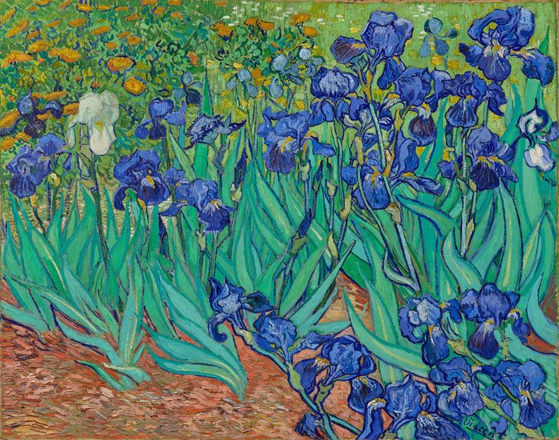 Picture for Irises, 1889