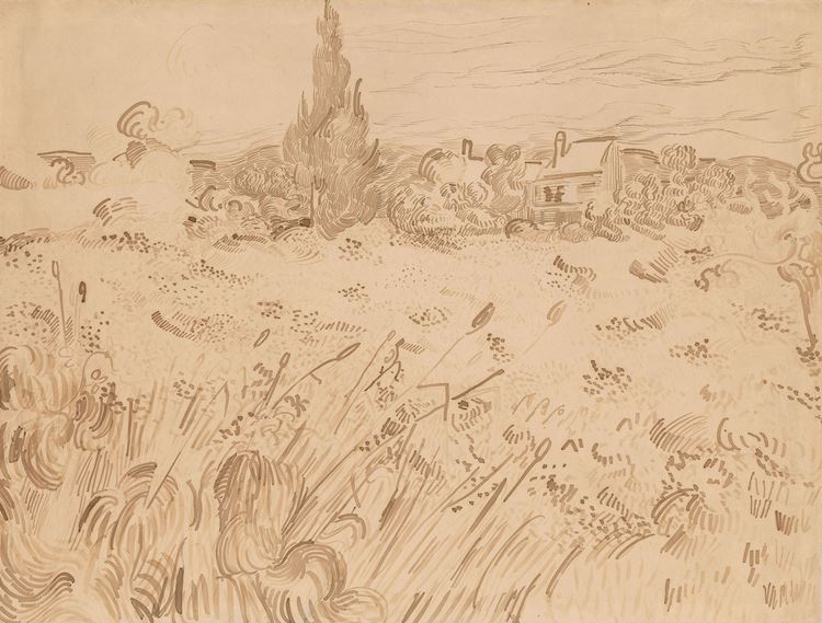 Selvi ile Yeşil Buğday Tarlası, 1889 picture