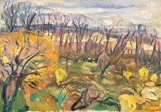 Show Autumn Colours, 1916-1920 details