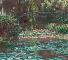 Show The Water Lily Pond, 1900 details