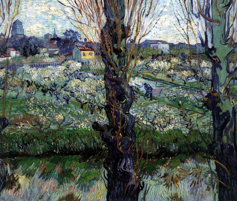 Picture for View of Arles, 1889