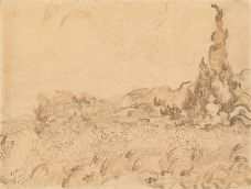 Show Buğday Tarlası ve Selviler, 1889 details