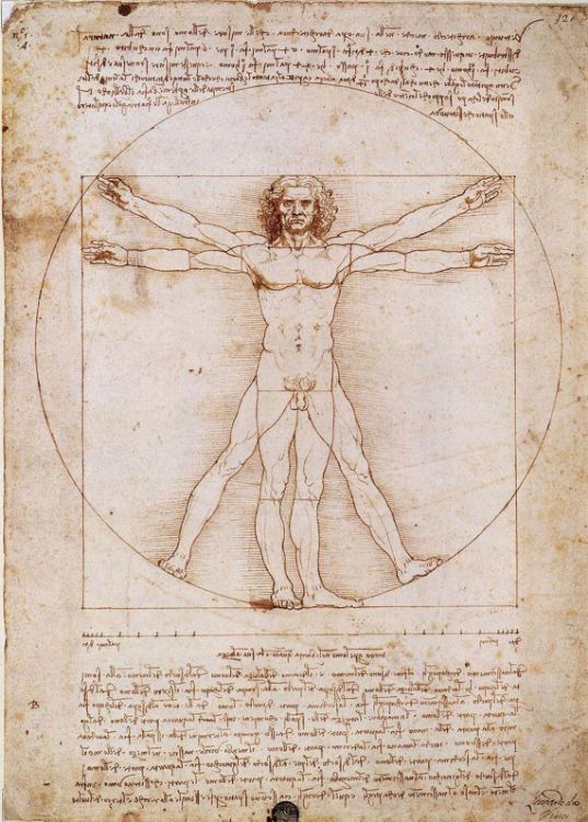 Vitruvius Adamı, 1490 dolayları picture
