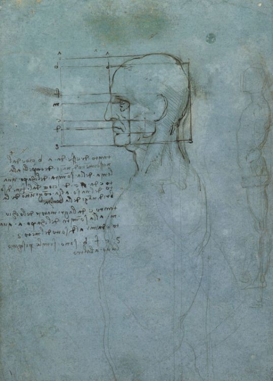 Yandan bakışla insan başı çalışması, 1490 dolayları picture