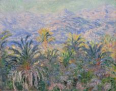 Show Palm Trees at Bordighera, 1884 details