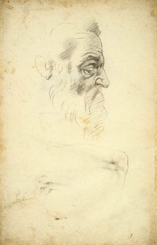 Picture for Zekeriya Peygamber için çalışma, 1508 dolayları