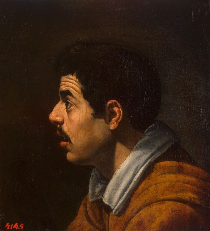 Picture for Head of a Man, 1616-1617