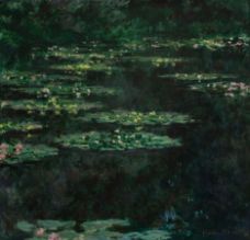 Show Water Lilies, 1904 details