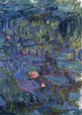 Show Water Lilies, 1914-1917 details