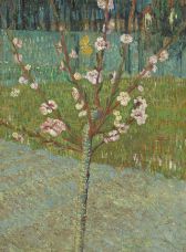 Show Çiçek Açmış Şeftali Ağacı, 1888 details