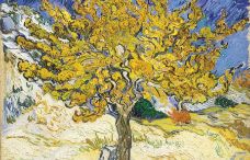 Show Dut Ağacı, 1889 details