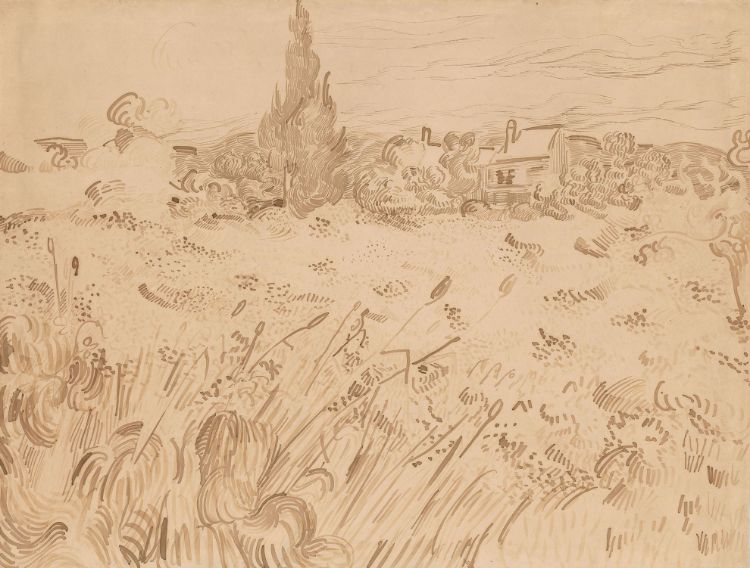 Selvi ile Yeşil Buğday Tarlası, 1889 picture